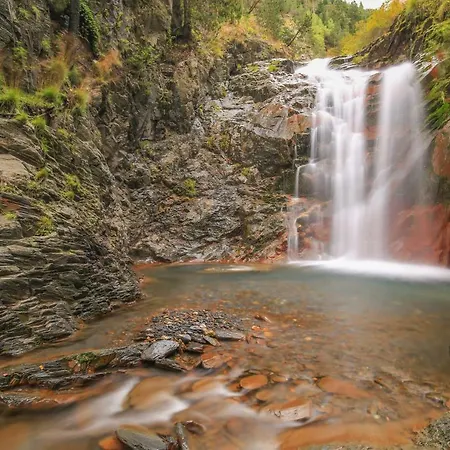 Aurélia Vielle-Aure